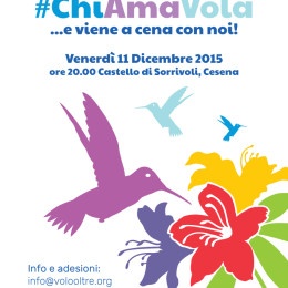 #ChiAmaVola, Cena Sociale 2015