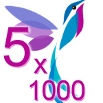 5x1000