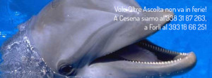 Volo Oltre non va in ferie